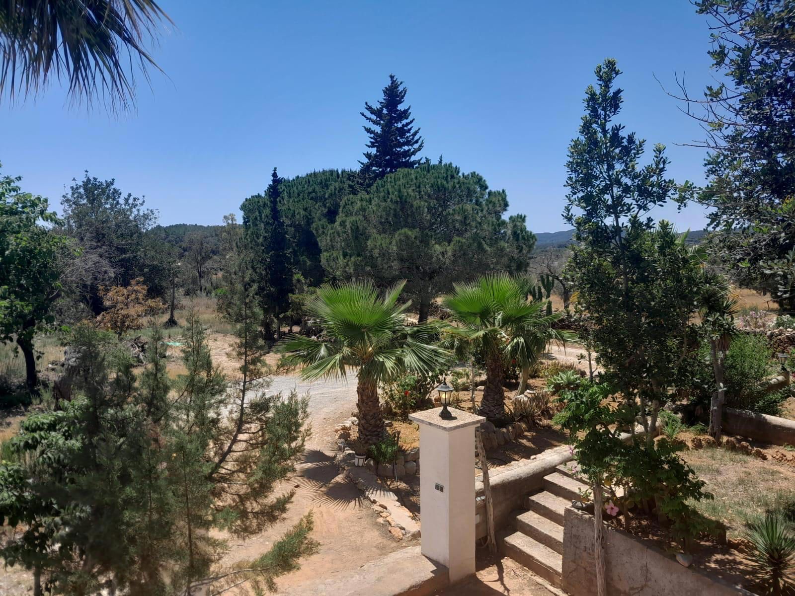 Villa à vendre à Ibiza 15