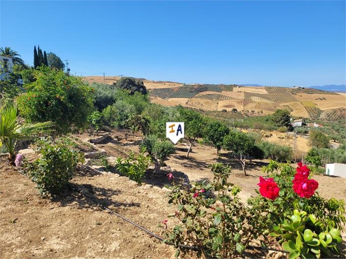 Maison de campagne à vendre à Málaga 5