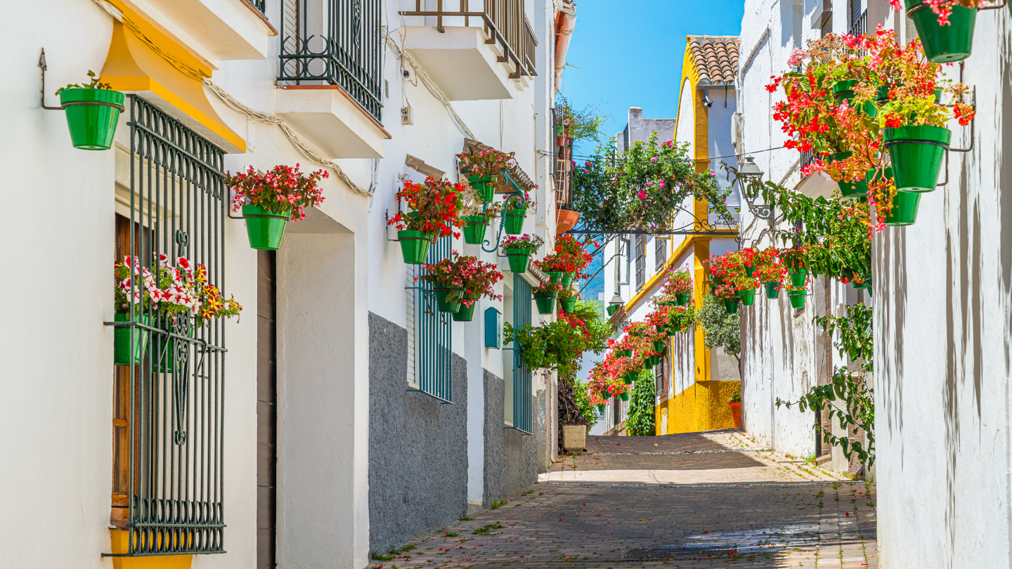 Lägenhet till salu i Estepona 14