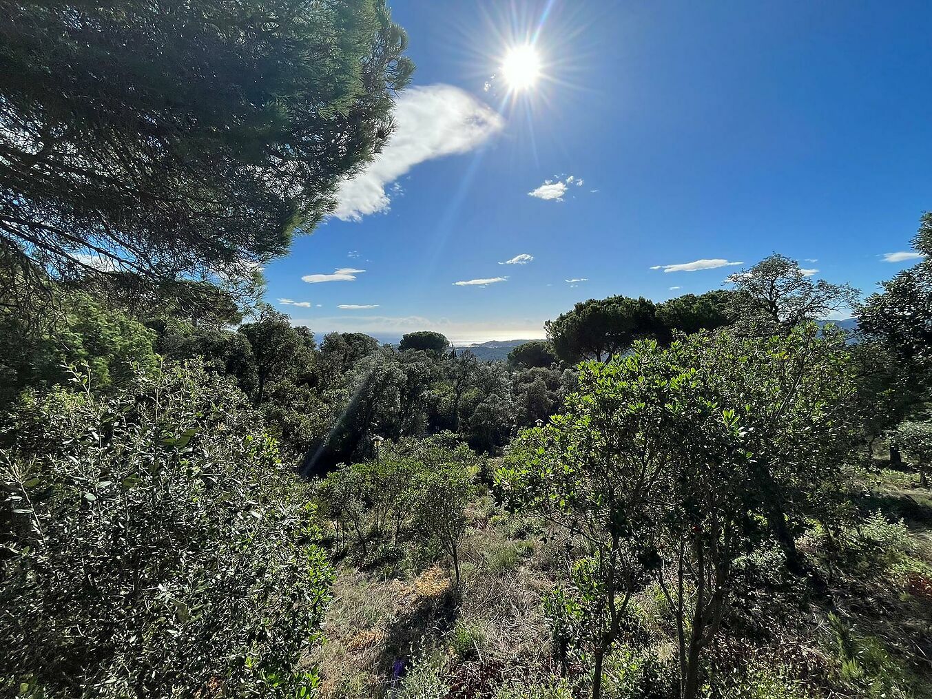 Plot à vendre à Platja d´Aro 3