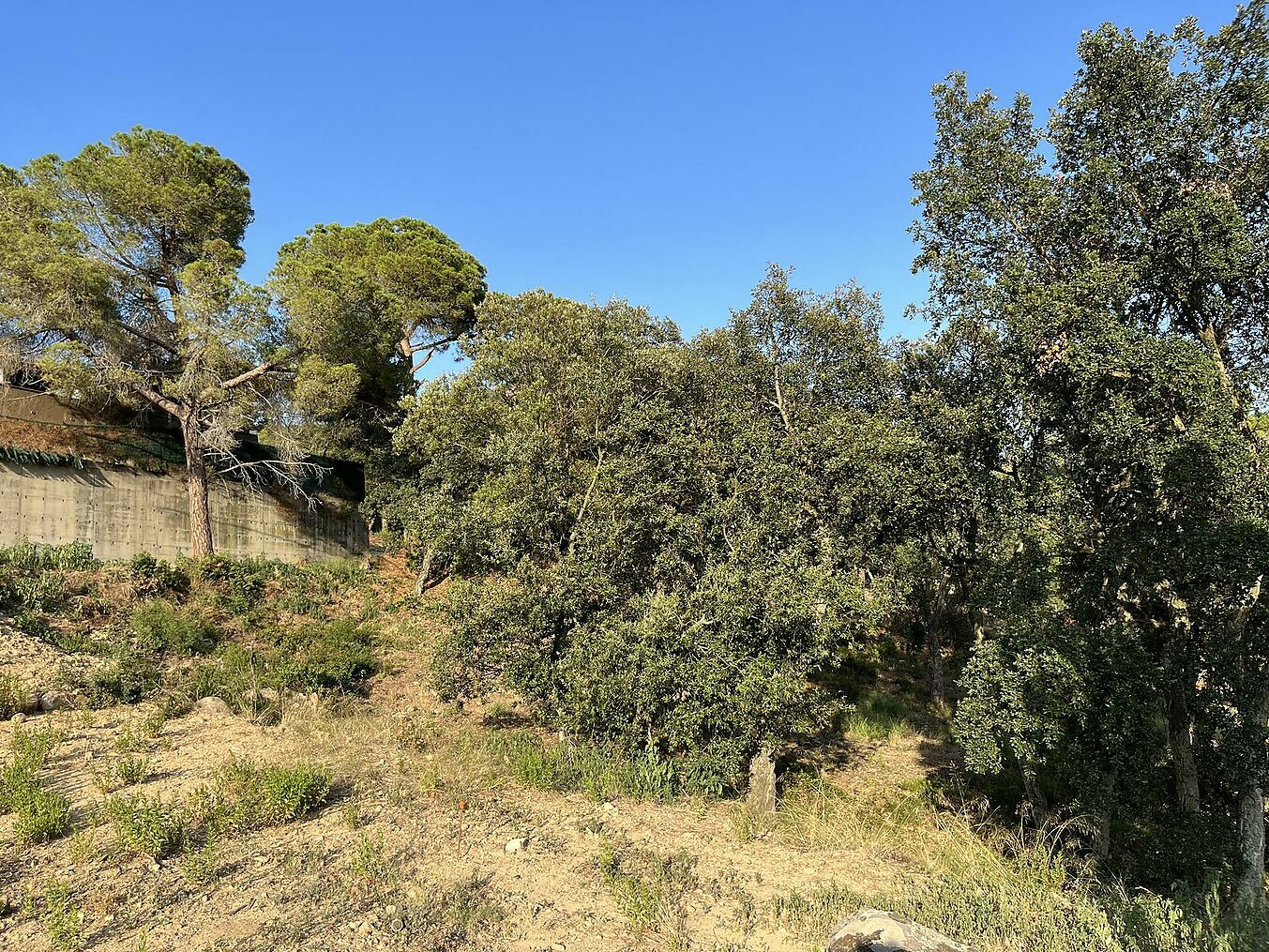 Plot for sale in Guardamar and surroundings 8