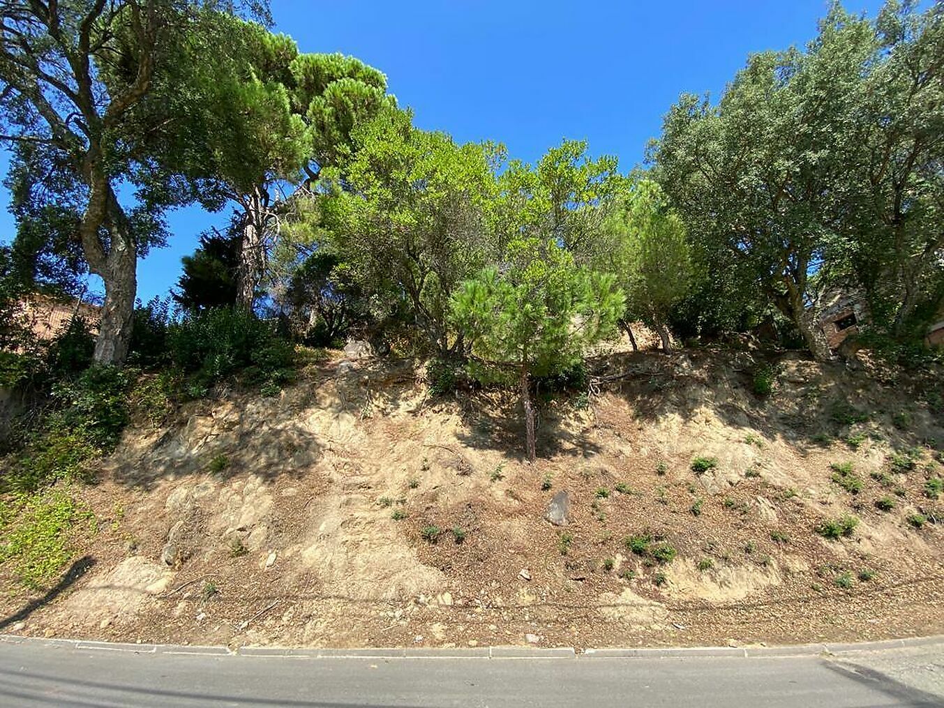 Plot for sale in Guardamar and surroundings 2