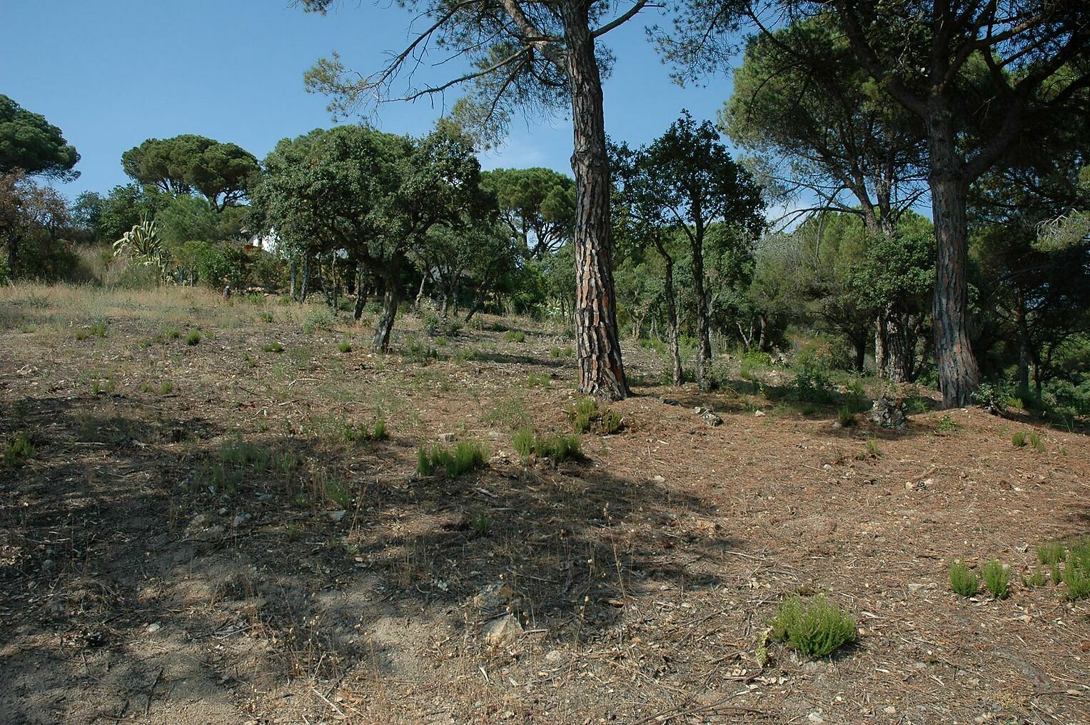 Plot à vendre à Platja d´Aro 11