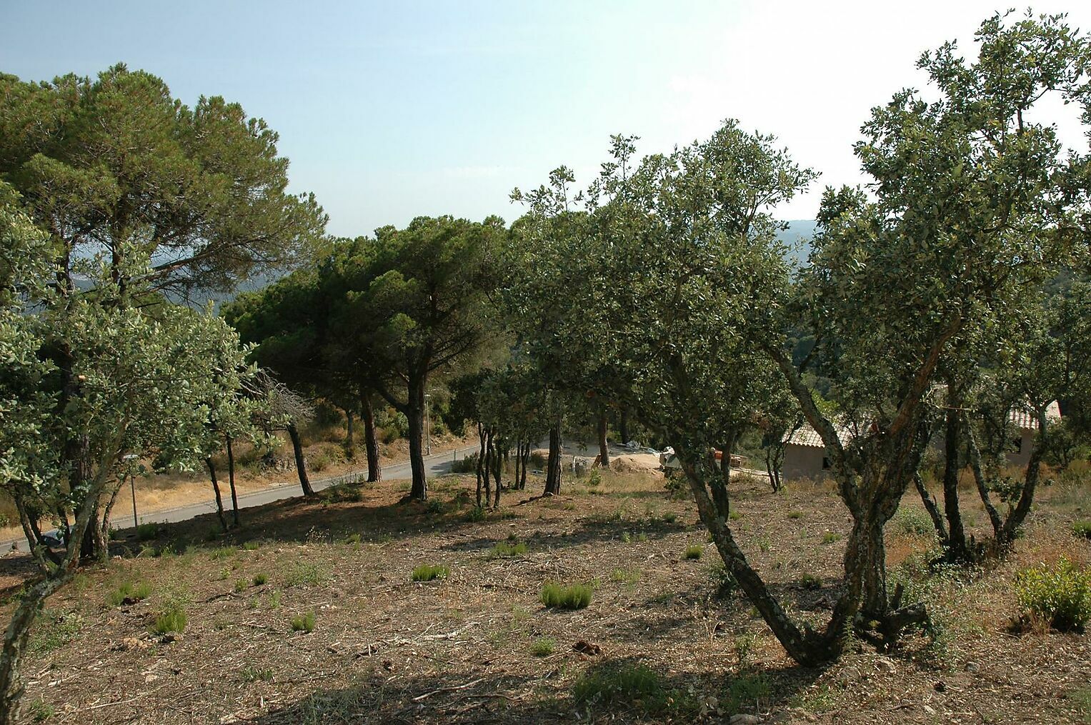 Plot à vendre à Platja d´Aro 13