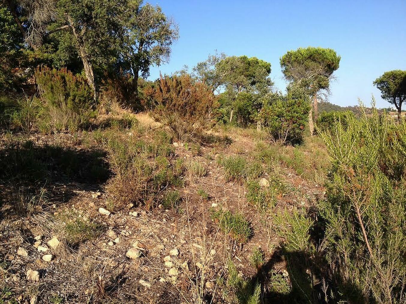 Plot for sale in Platja d´Aro 16