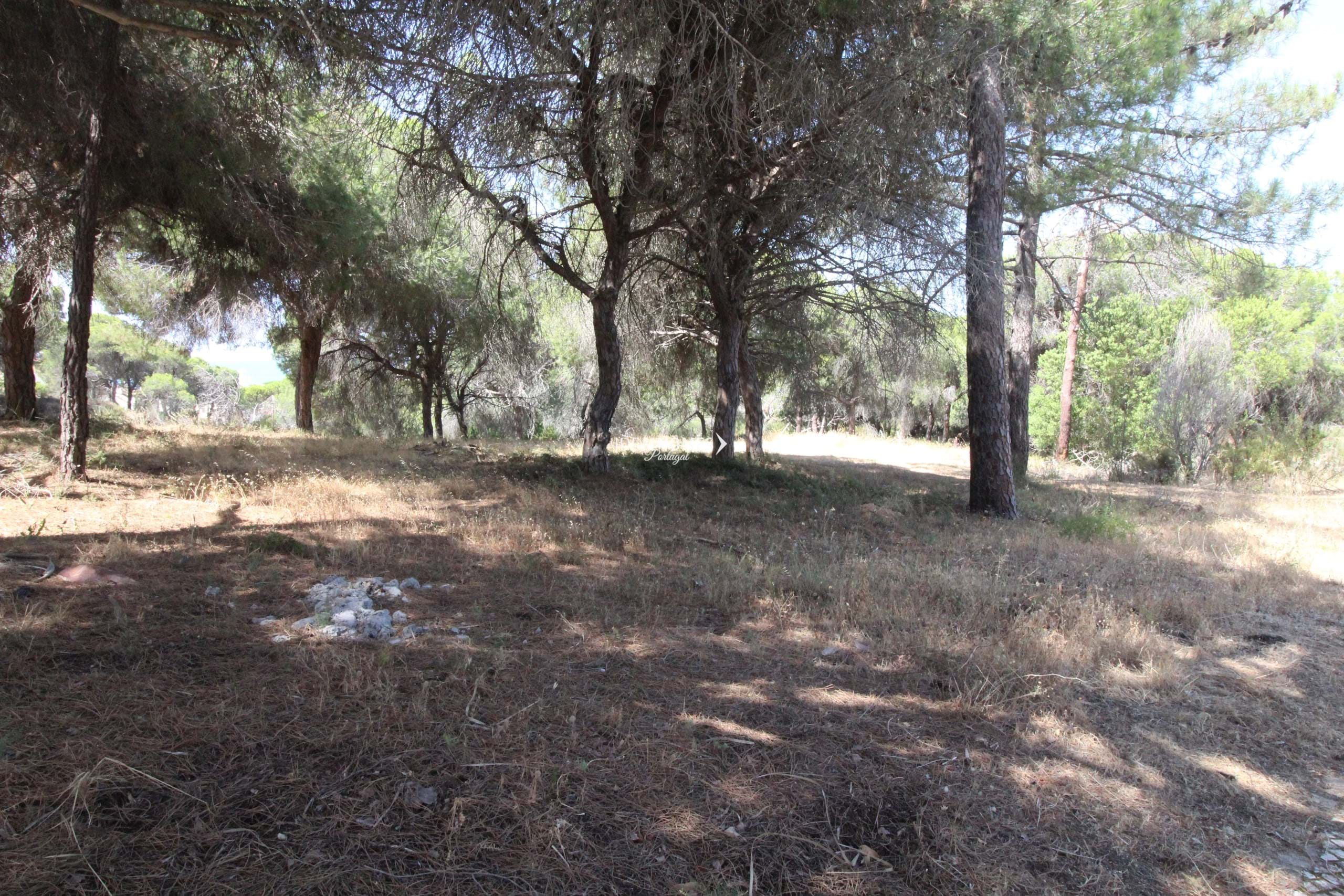 Property Image 608011-almansil-plot