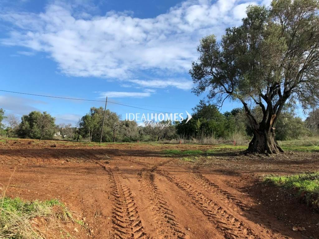 Property Image 608014-boliqueime-plot