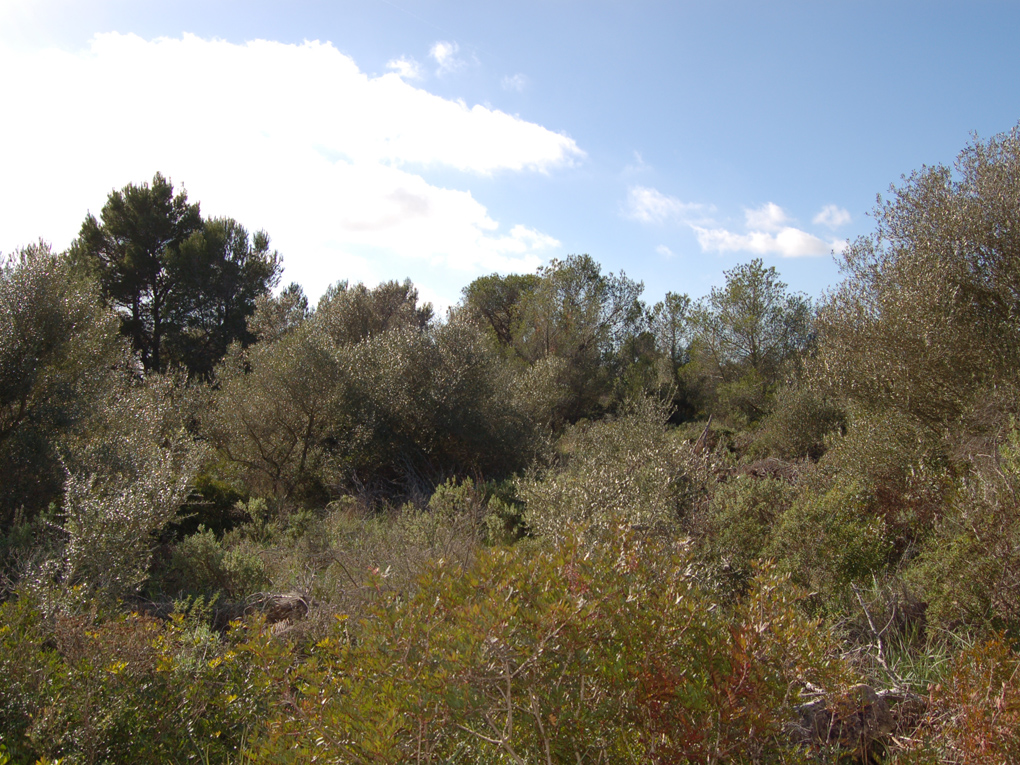 Plot en venta en Castelldefels and Baix Llobregat 2