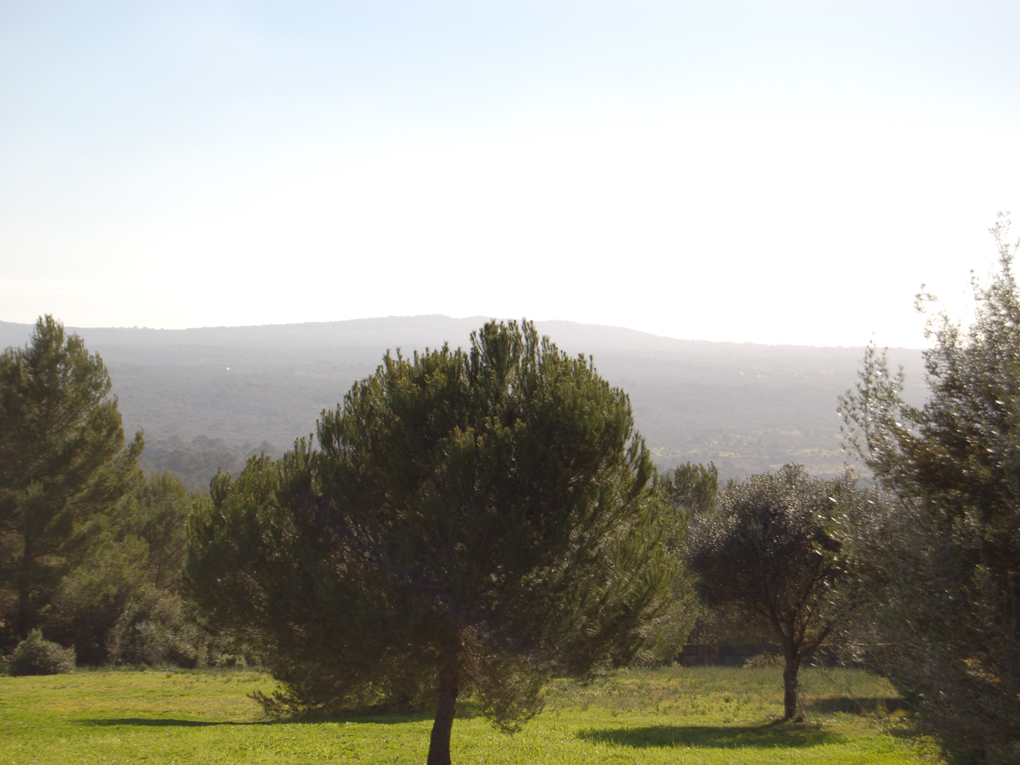 Działka na sprzedaż w Castelldefels and Baix Llobregat 3