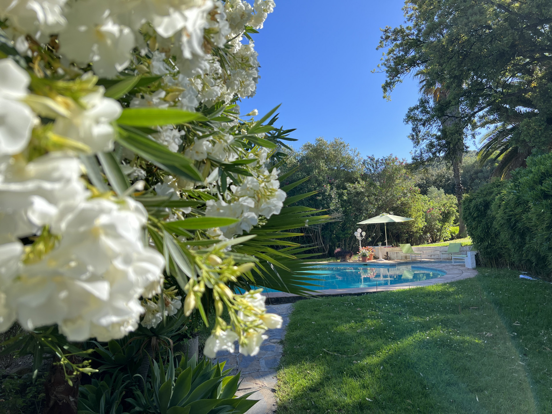 Villa à vendre à Casares 35