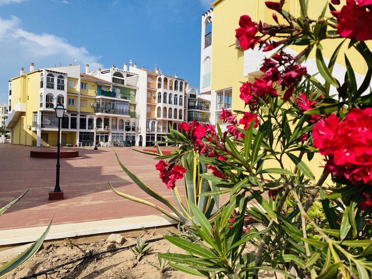 Пентхаус для продажи в Torrevieja and surroundings 12