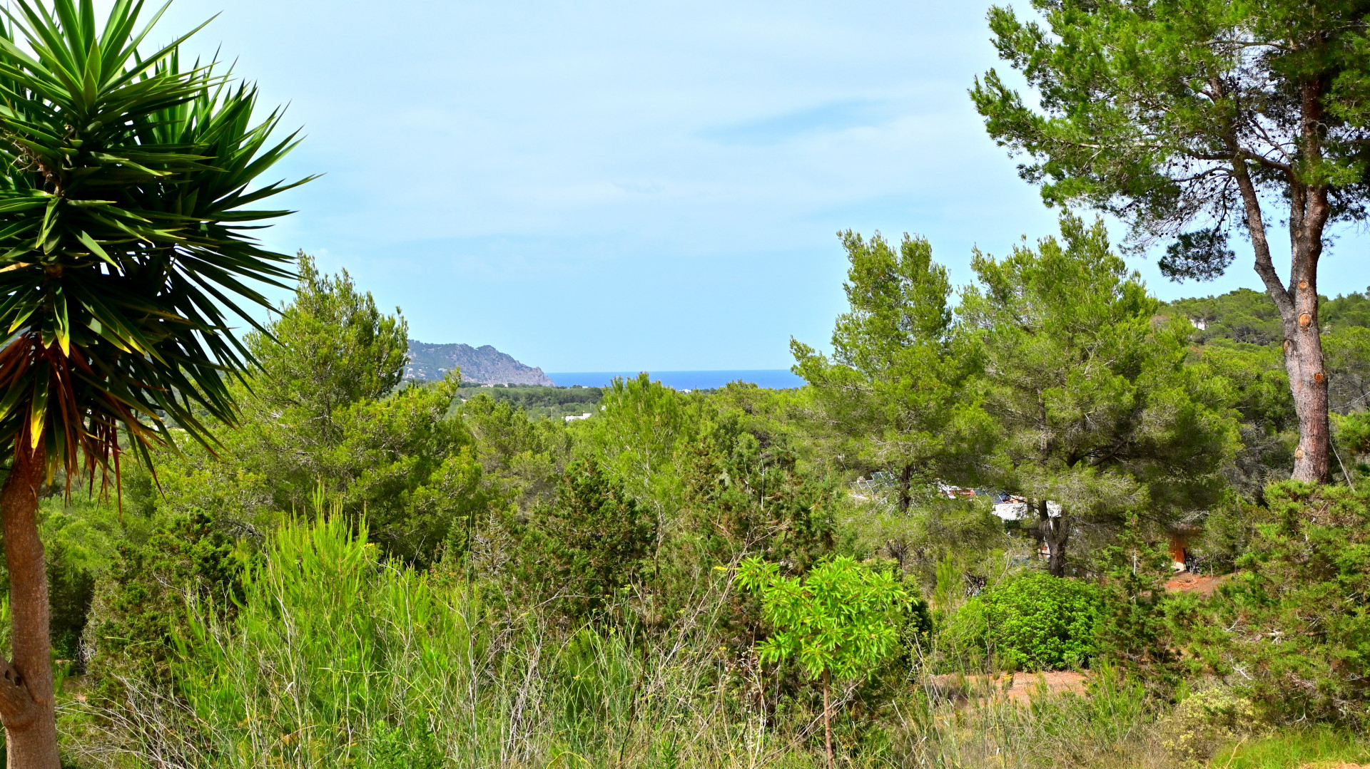 Countryhome te koop in Ibiza 25