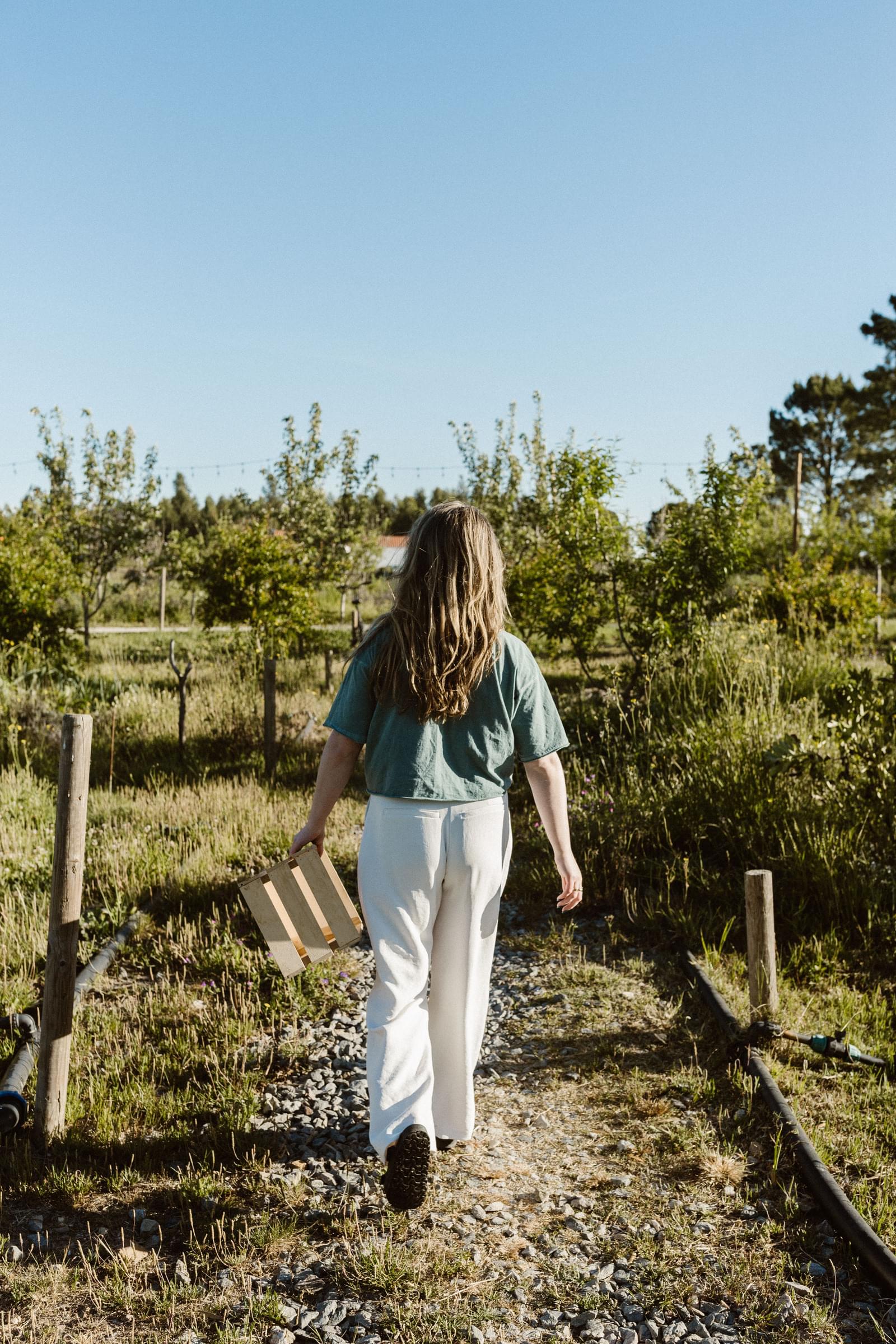 Lägenhet till salu i Odemira 39