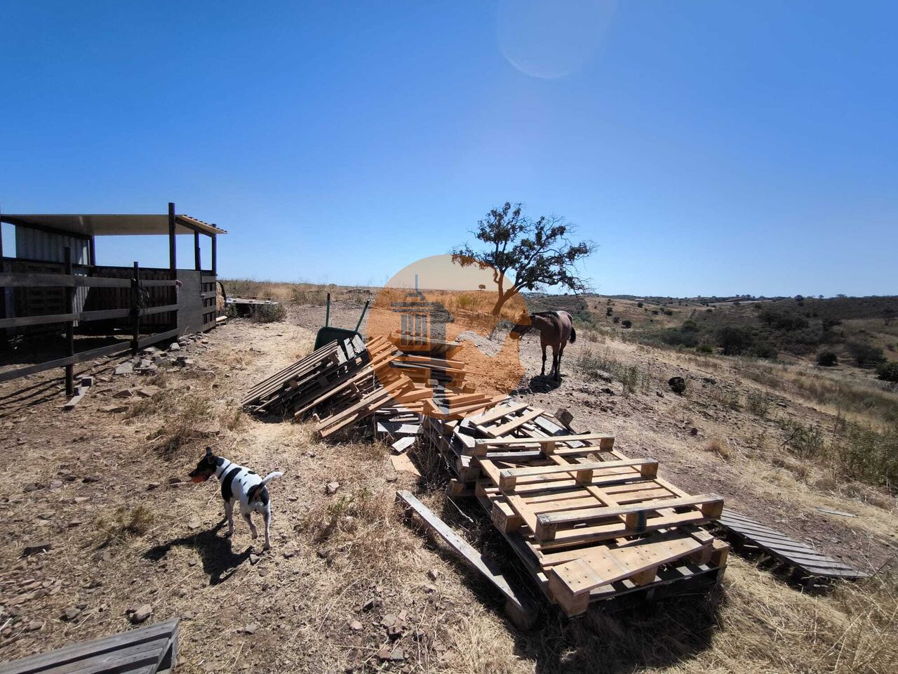 Plot à vendre à Faro 35