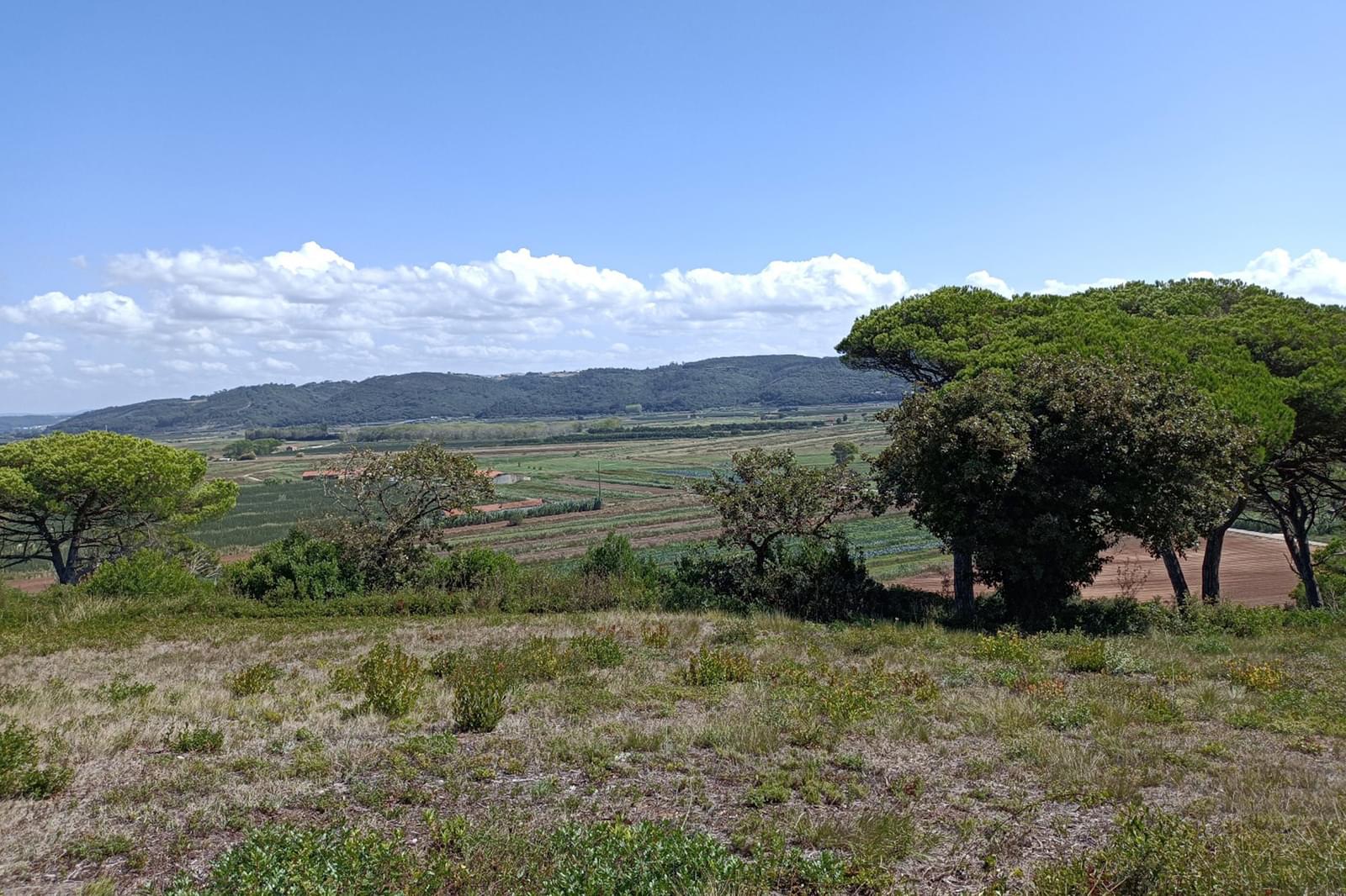 Plot for sale in Leiria District 6