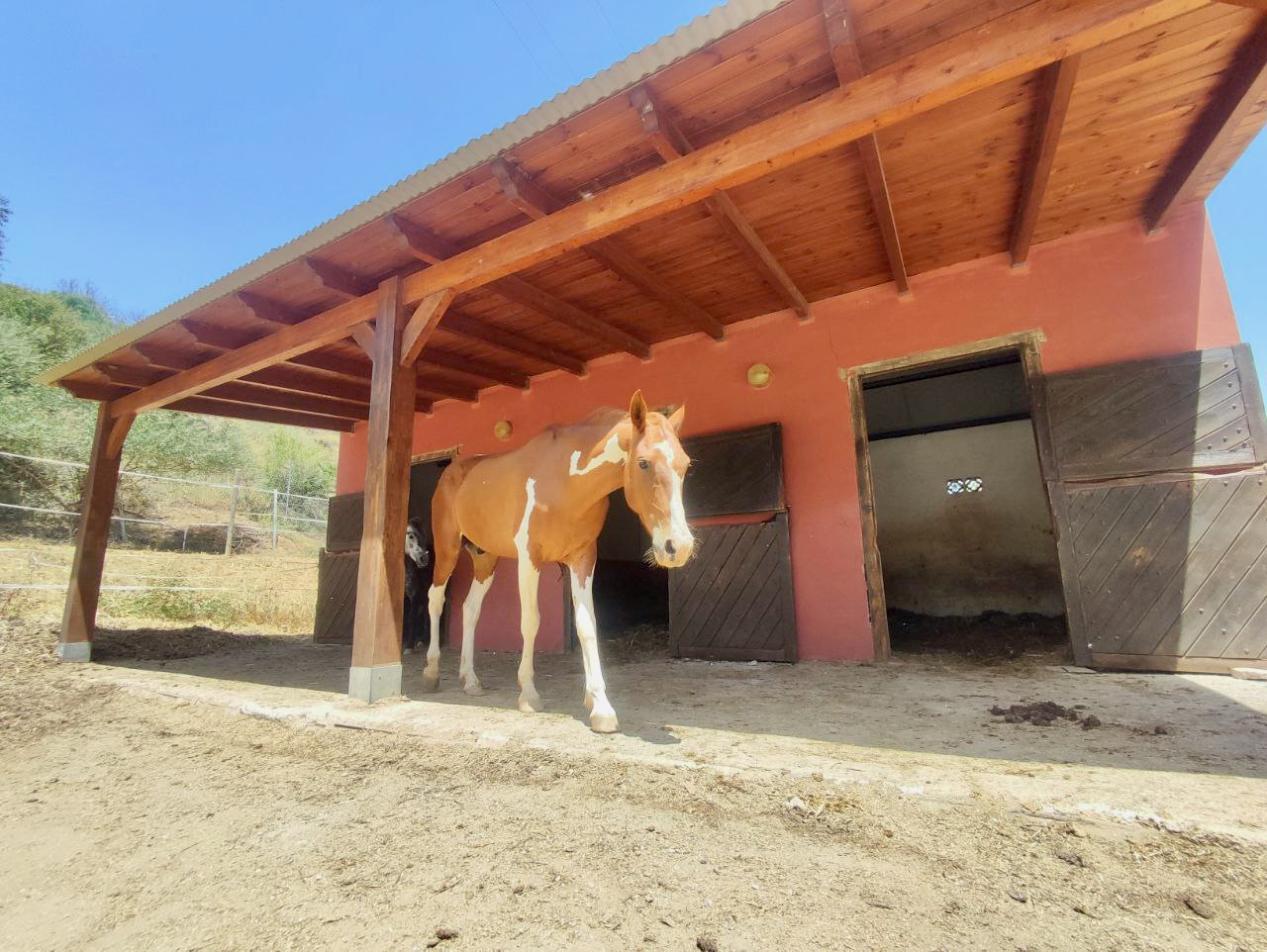 Maison de campagne à vendre à Mijas 13