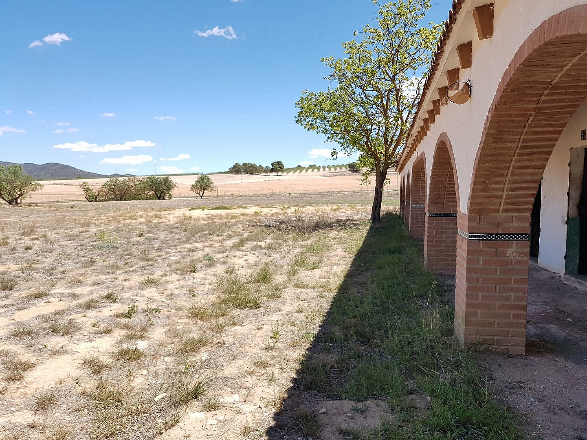 Casas de Campo en venta en Guardamar and surroundings 24