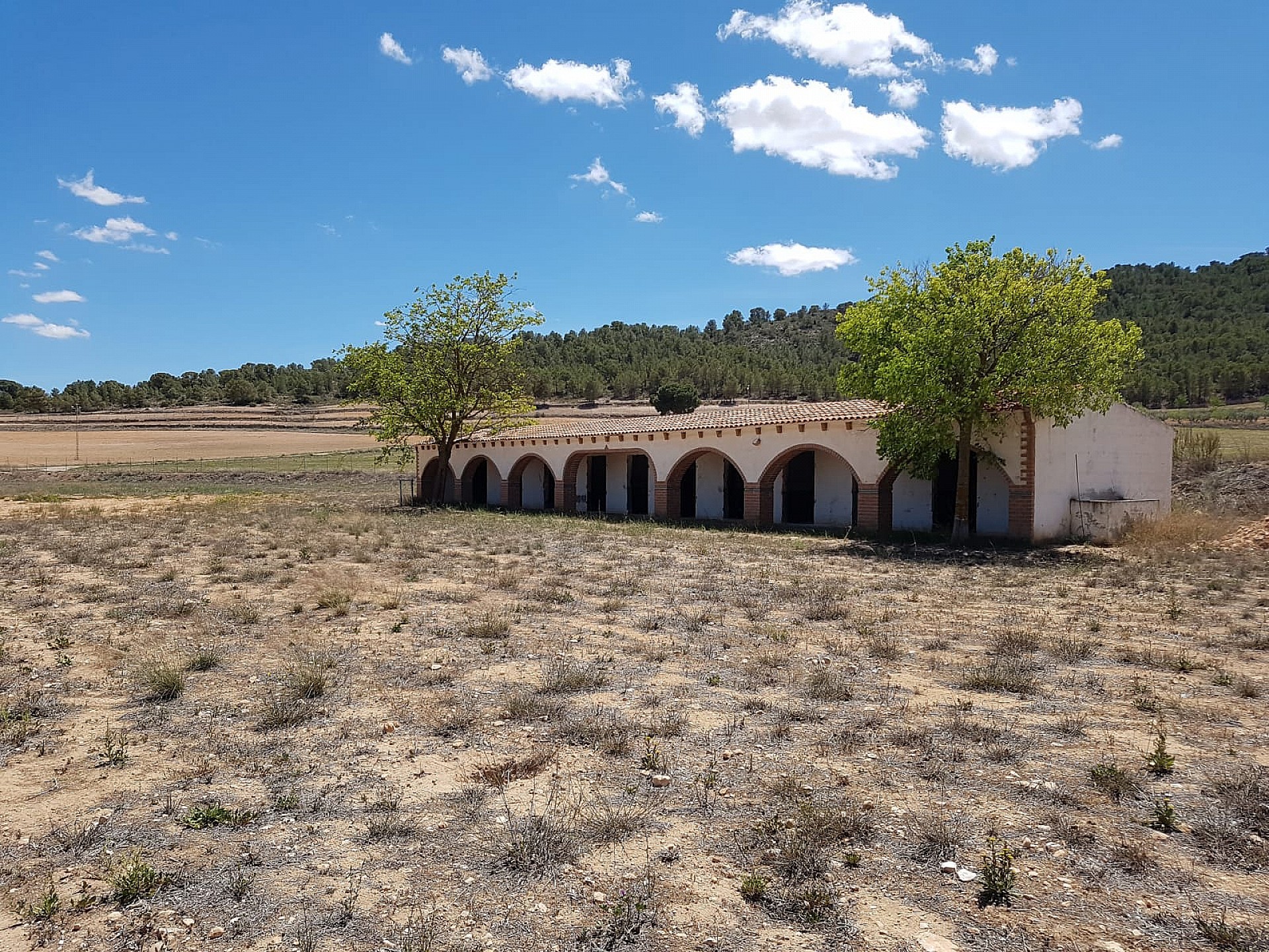 Casas de Campo en venta en Guardamar and surroundings 36