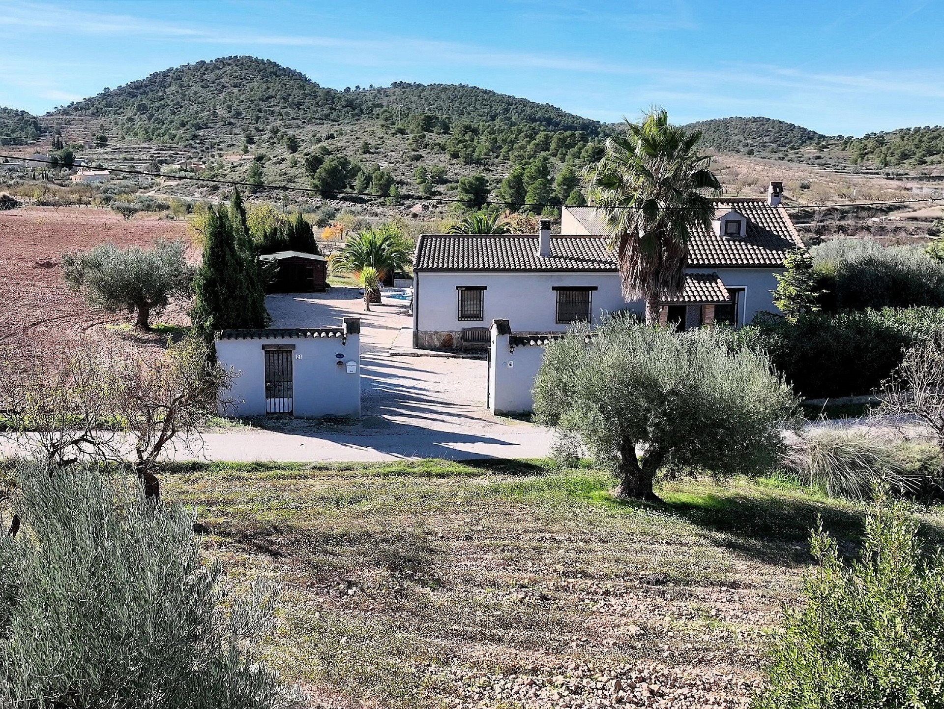 Maison de campagne à vendre à Guardamar and surroundings 32