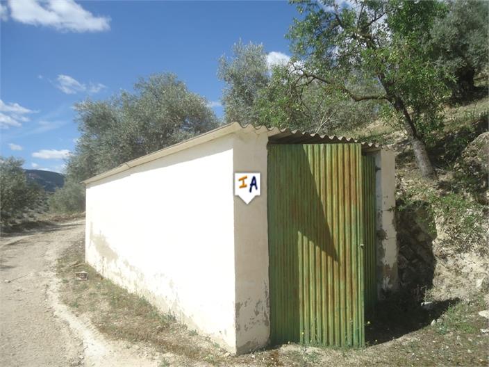 Casas de Campo en venta en Guardamar and surroundings 12