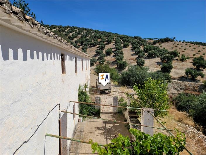 Countryhome for sale in Guardamar and surroundings 9