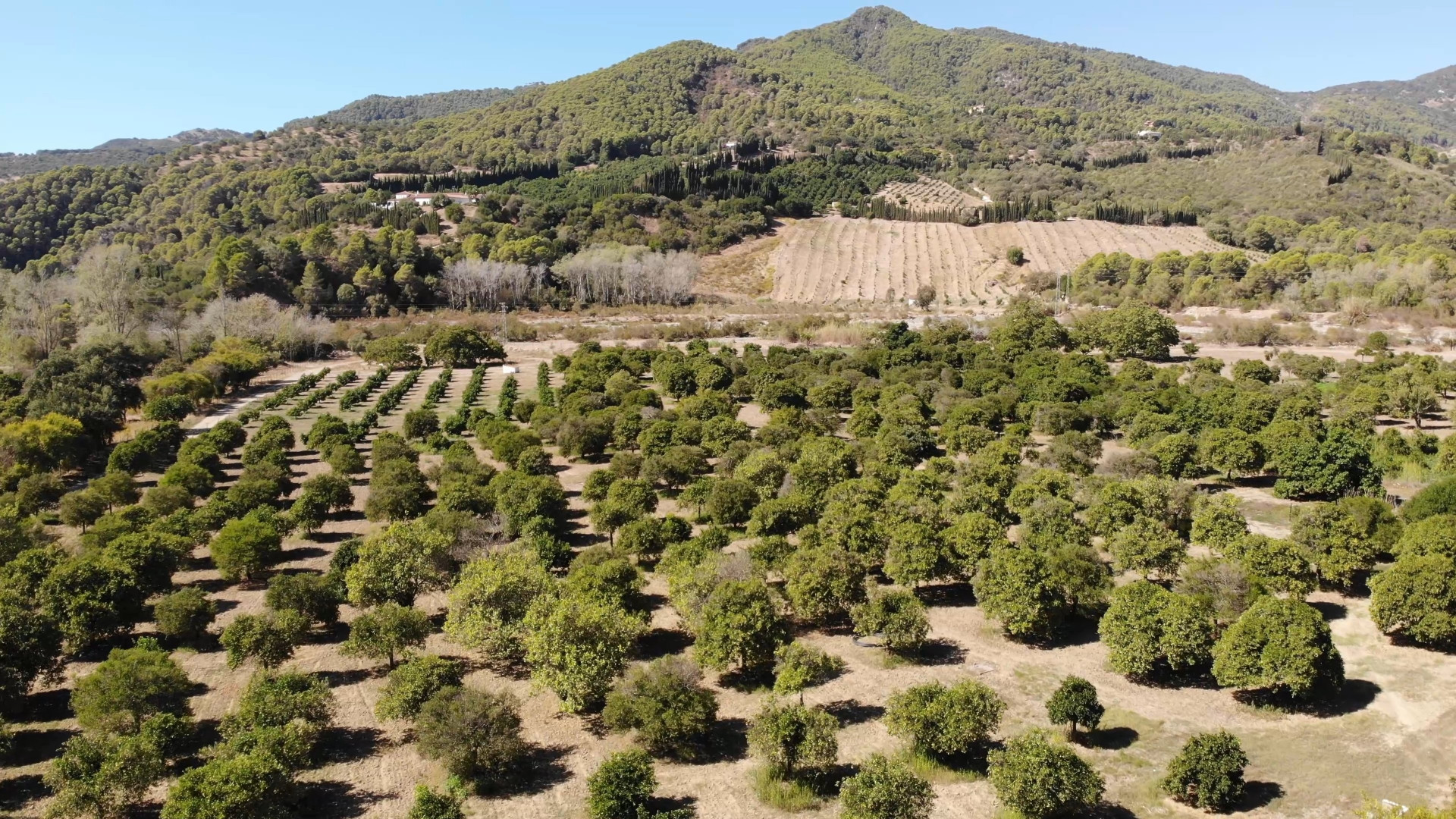 Casas de Campo en venta en Málaga 15