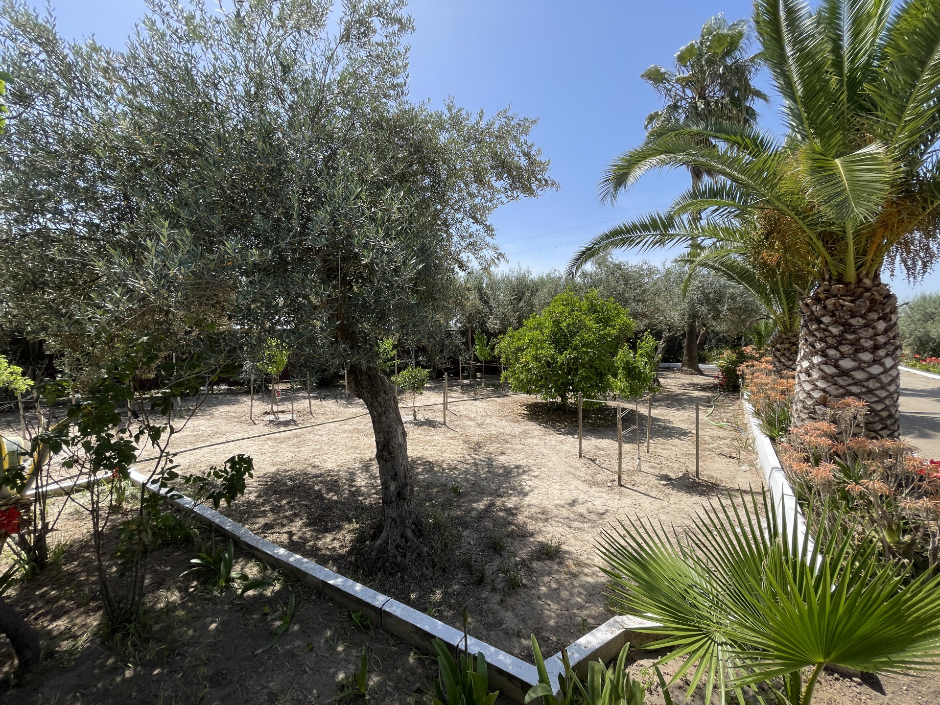 Countryhome for sale in Towns of the province of Seville 41
