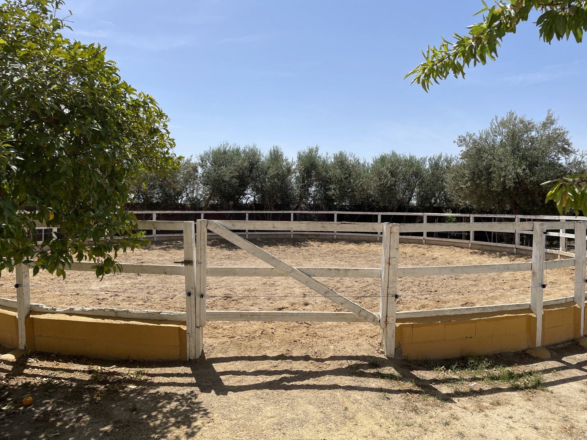 Countryhome for sale in Towns of the province of Seville 19