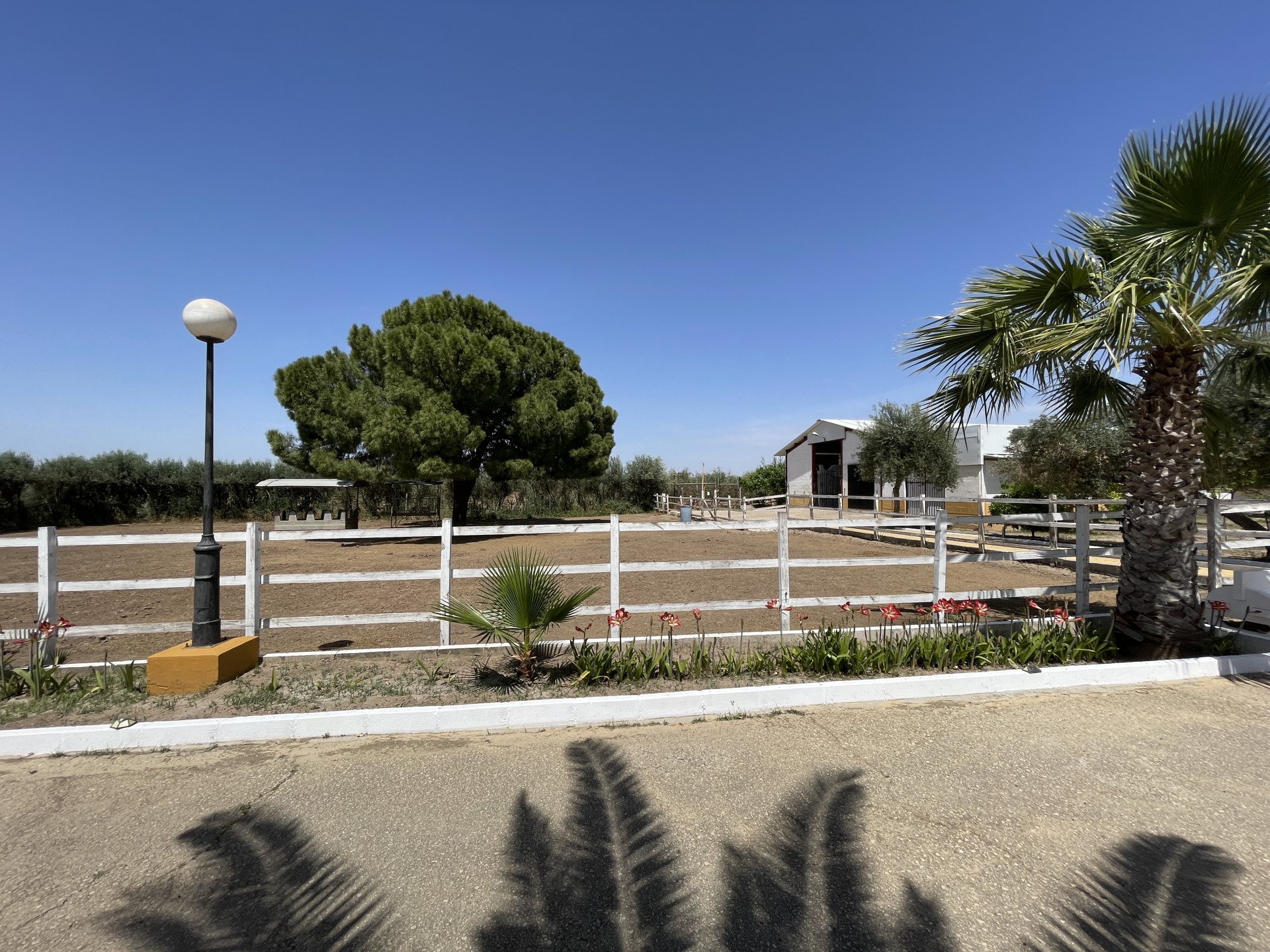 Countryhome for sale in Towns of the province of Seville 10