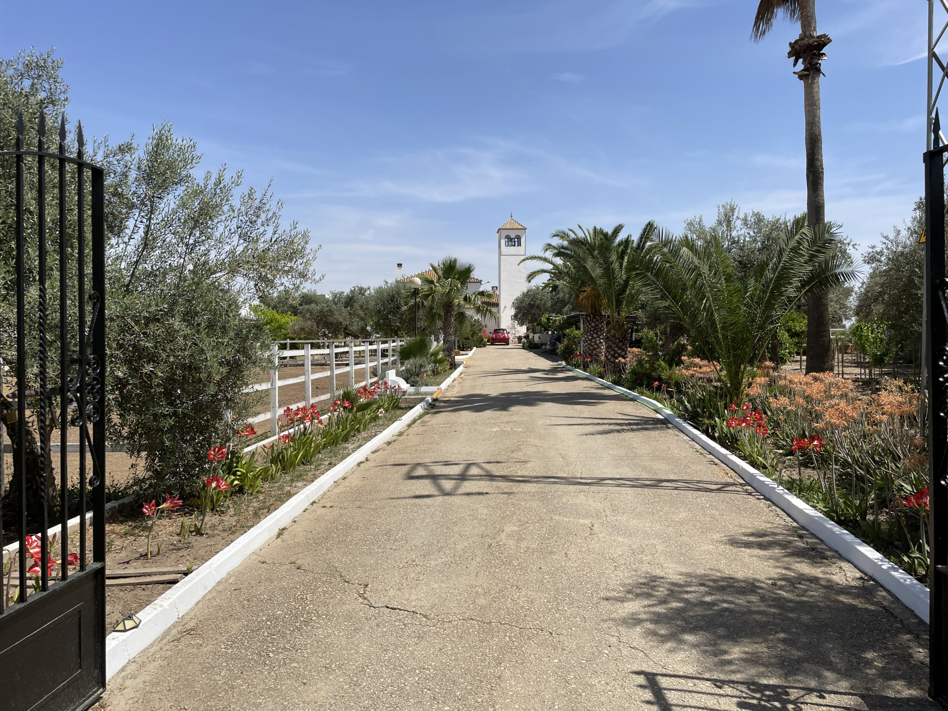 Countryhome for sale in Towns of the province of Seville 8