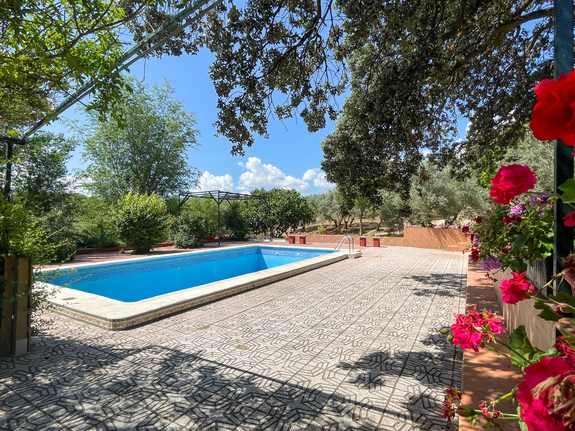 Property Image 613498-antequera-countryhome-6-3