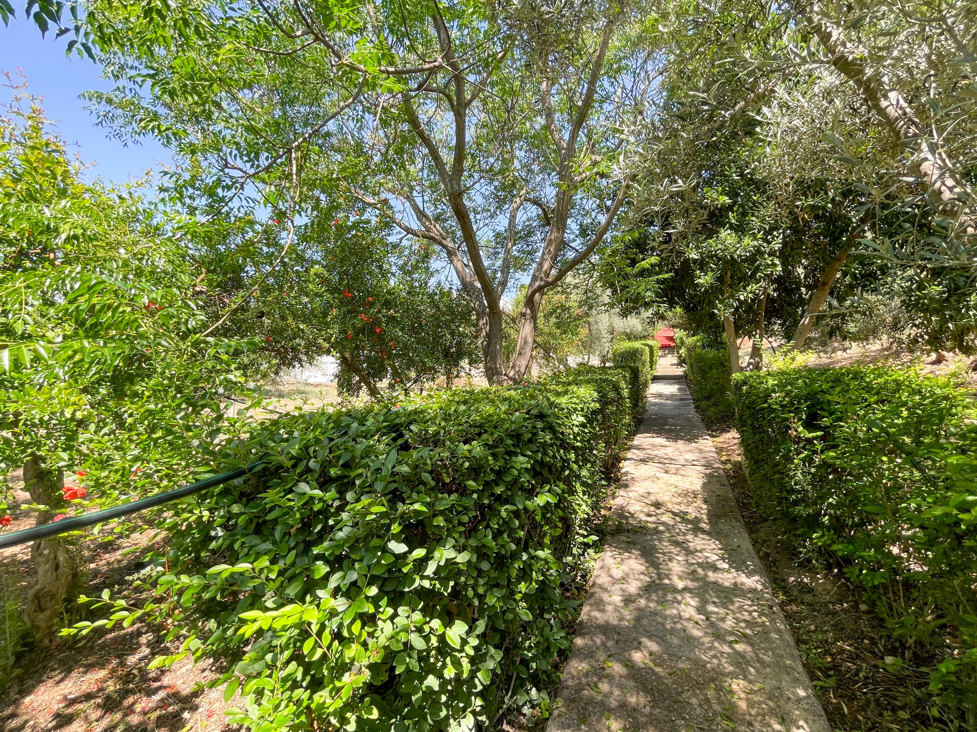 Countryhome for sale in Málaga 21
