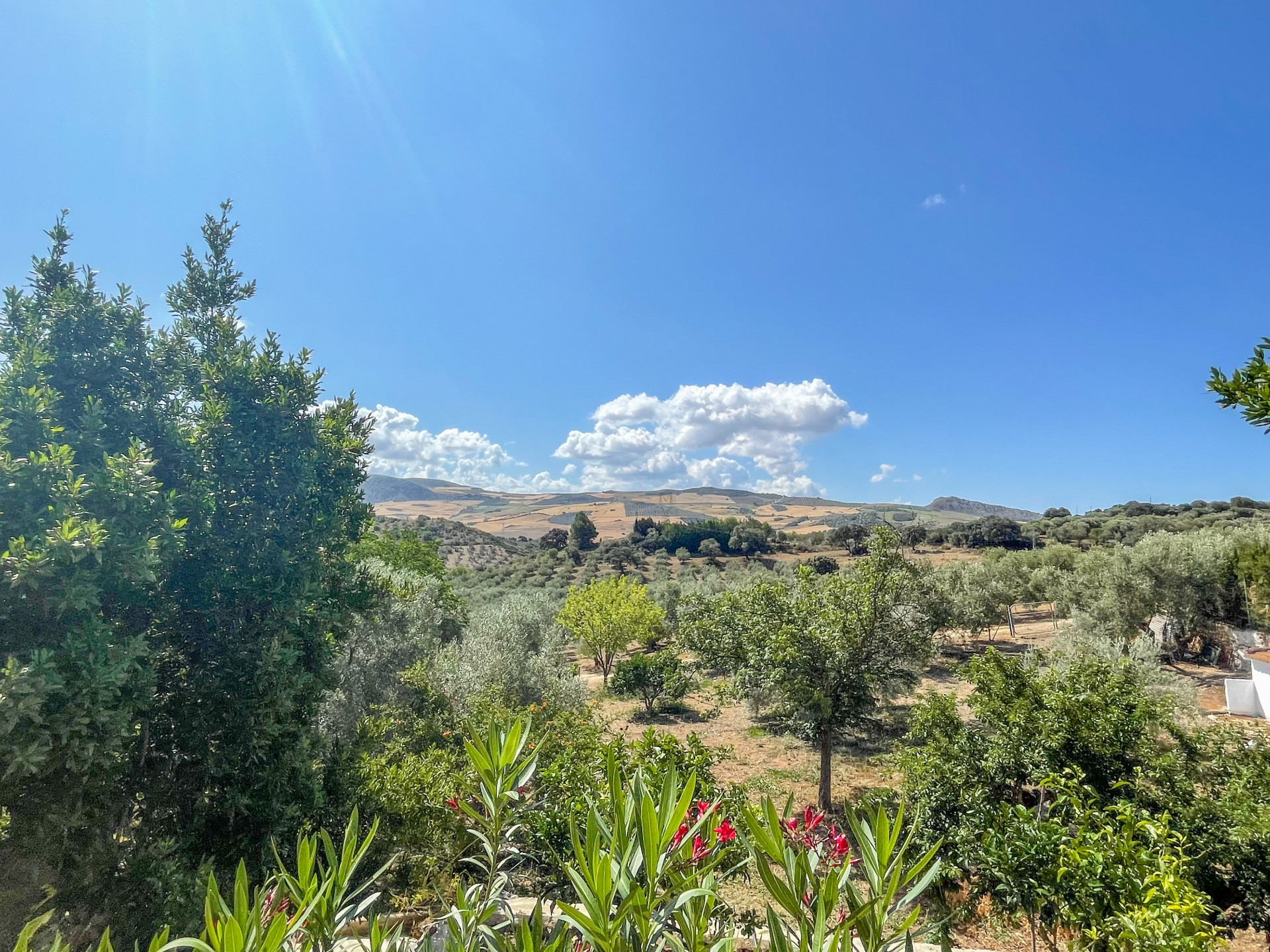 Maison de campagne à vendre à Málaga 33