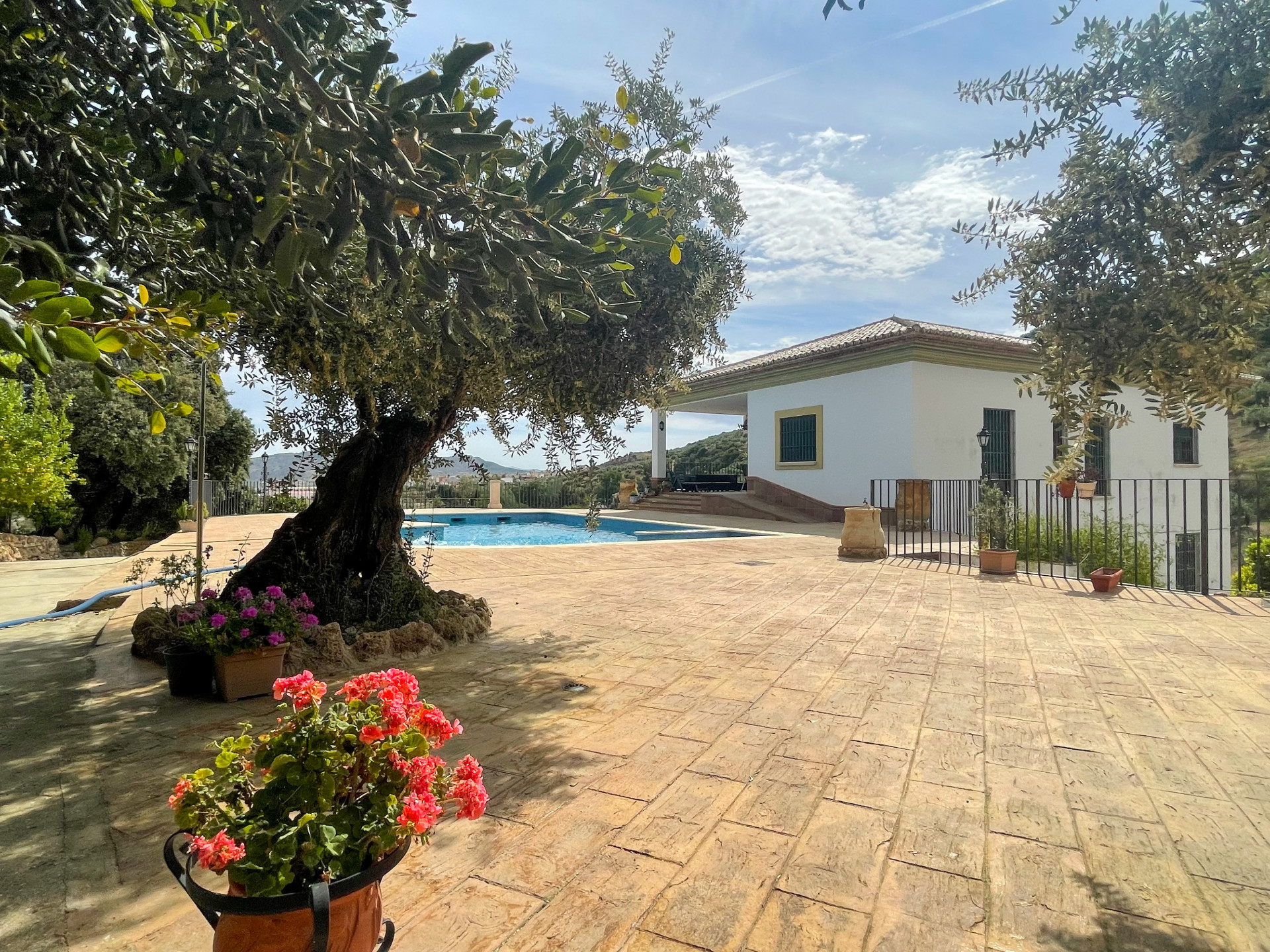 Countryhome for sale in Guardamar and surroundings 1