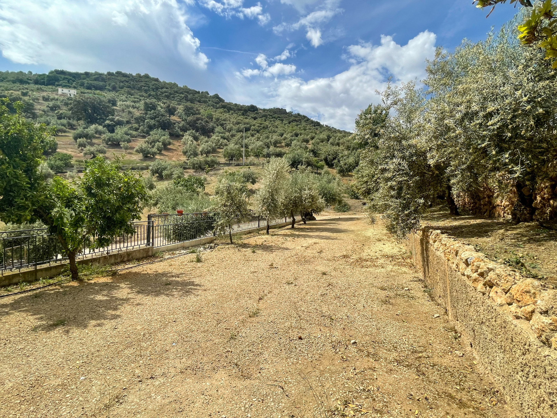 Countryhome for sale in Guardamar and surroundings 28