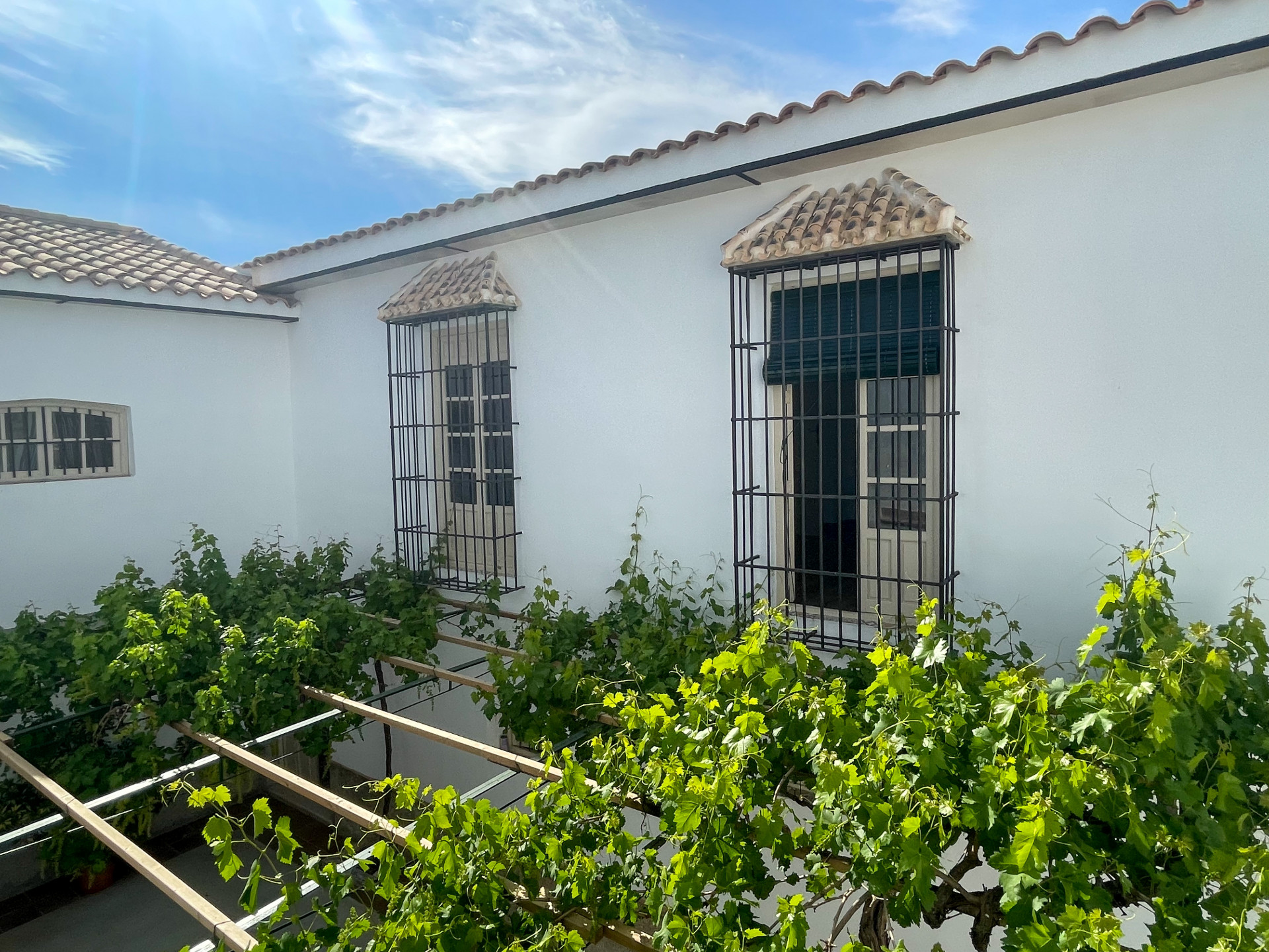 Casas de Campo en venta en Guardamar and surroundings 43