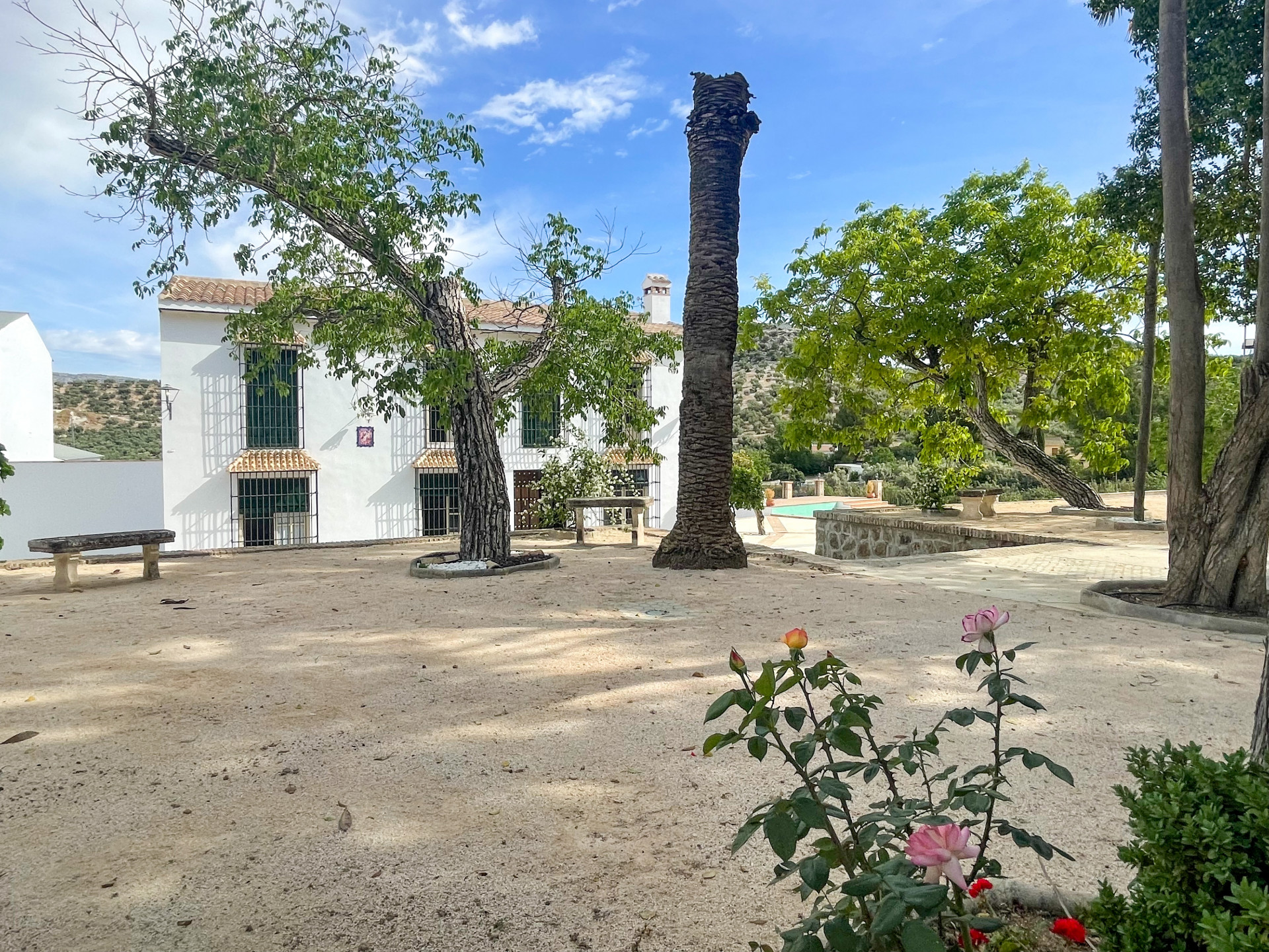 Countryhome for sale in Guardamar and surroundings 50