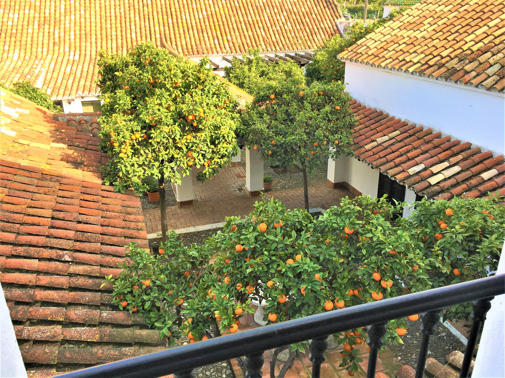 Загородный дом для продажи в Campo de Gibraltar 8