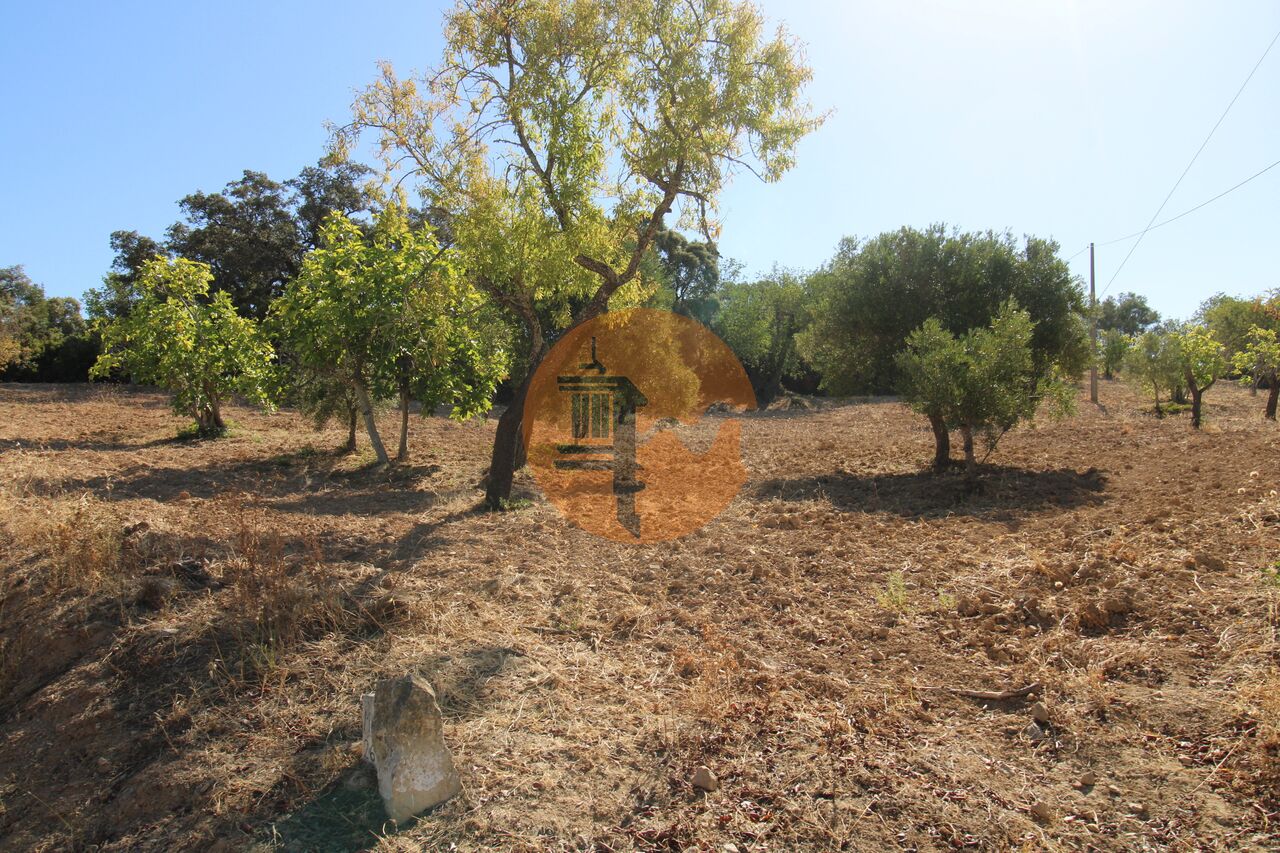 Plot for sale in Faro 1