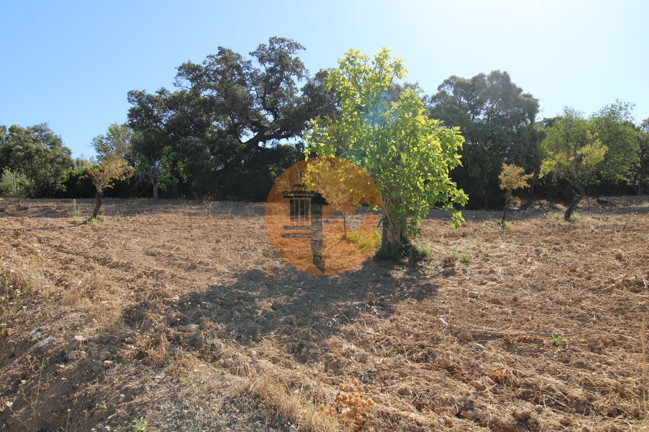 Plot for sale in Faro 2