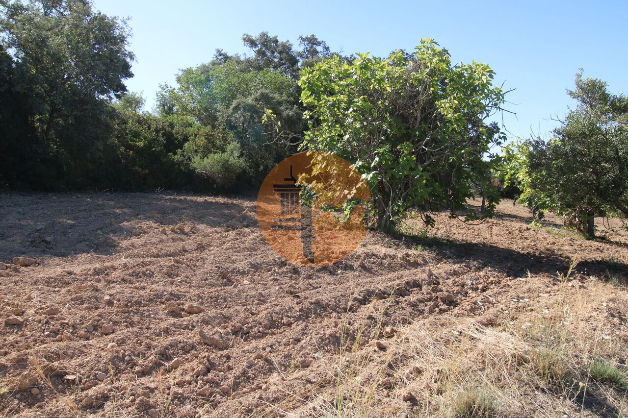 Plot for sale in Faro 3