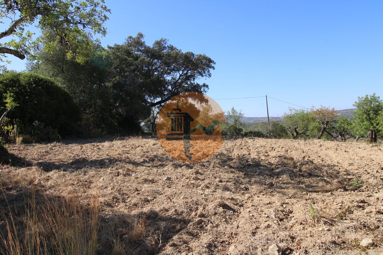 Plot for sale in Faro 7