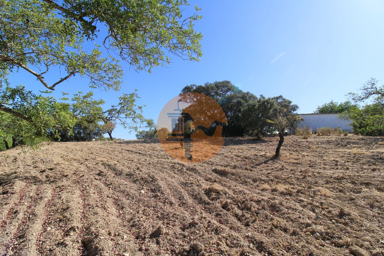 Plot for sale in Faro 16