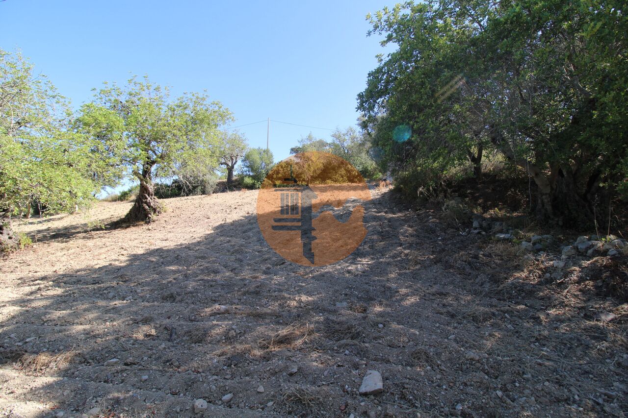 Plot for sale in Faro 18