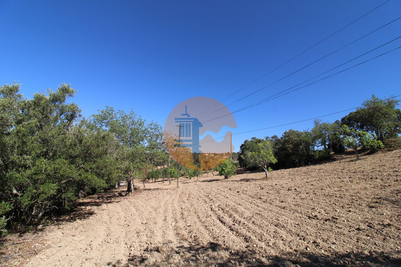 Plot for sale in Faro 19