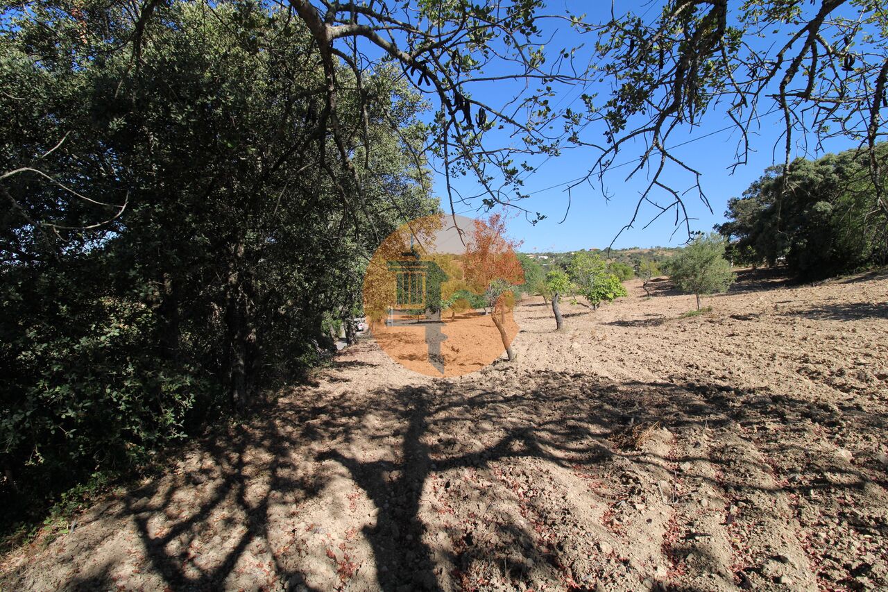 Plot for sale in Faro 21