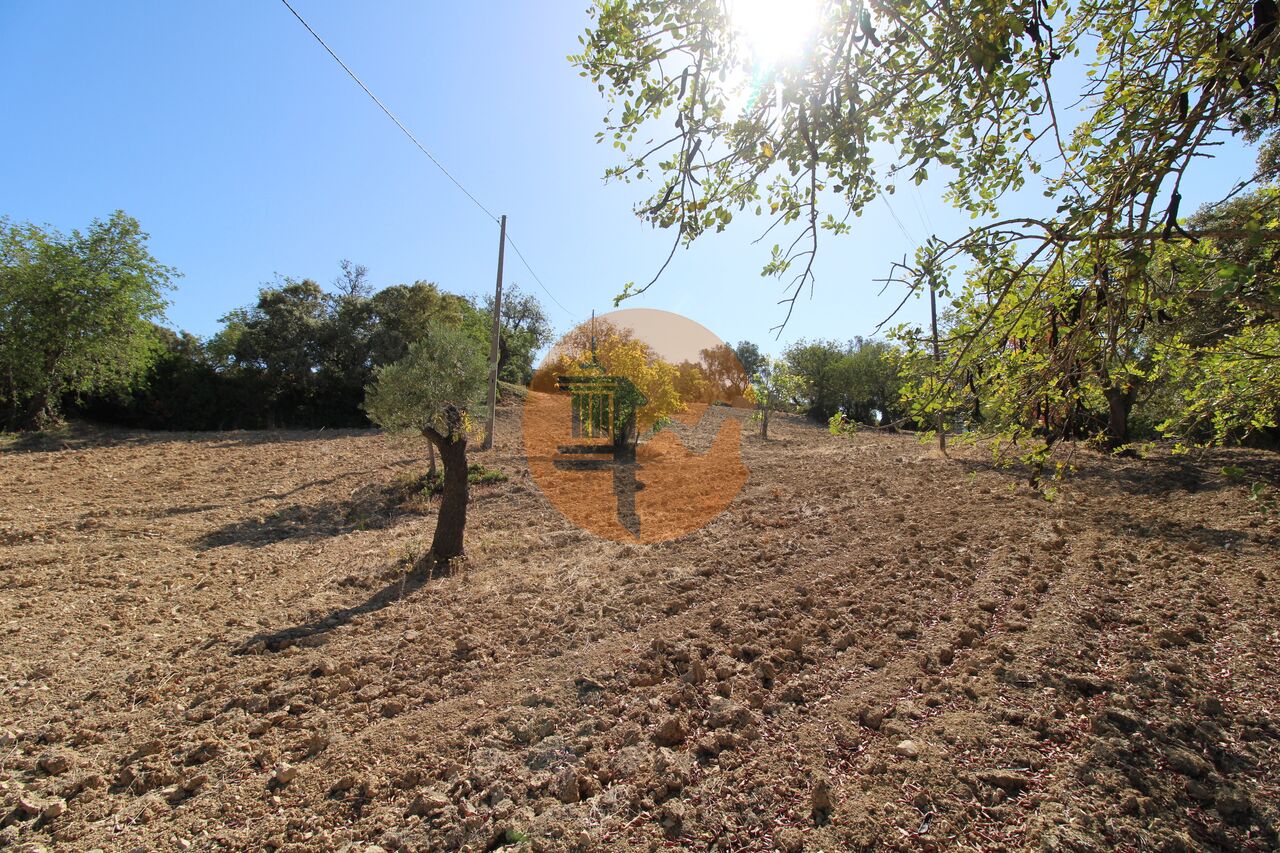 Plot for sale in Faro 23