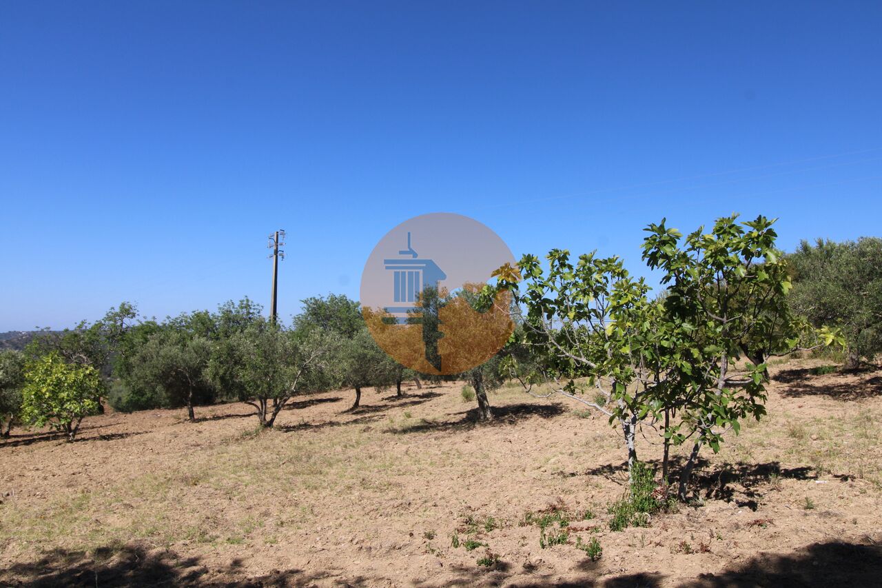 Plot for sale in Faro 5