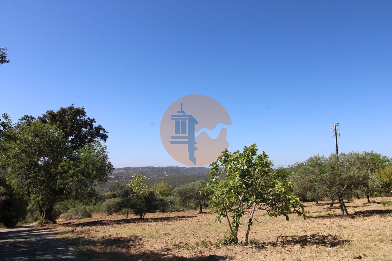 Plot for sale in Faro 3