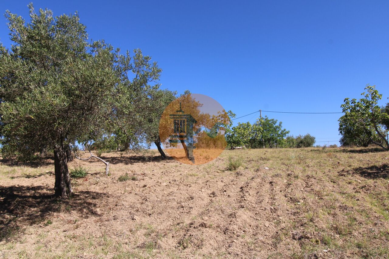 Plot for sale in Faro 9